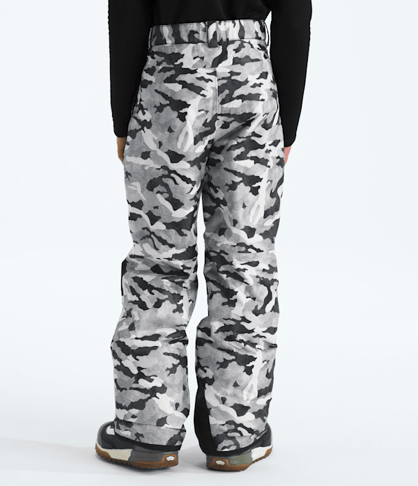 Boys-Freedom-Insulated-PantsPrint-TNF-BACK.png