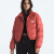 Mars Dust